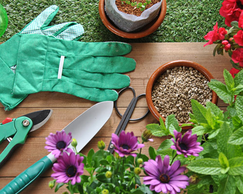 Home Garden Center Ql
